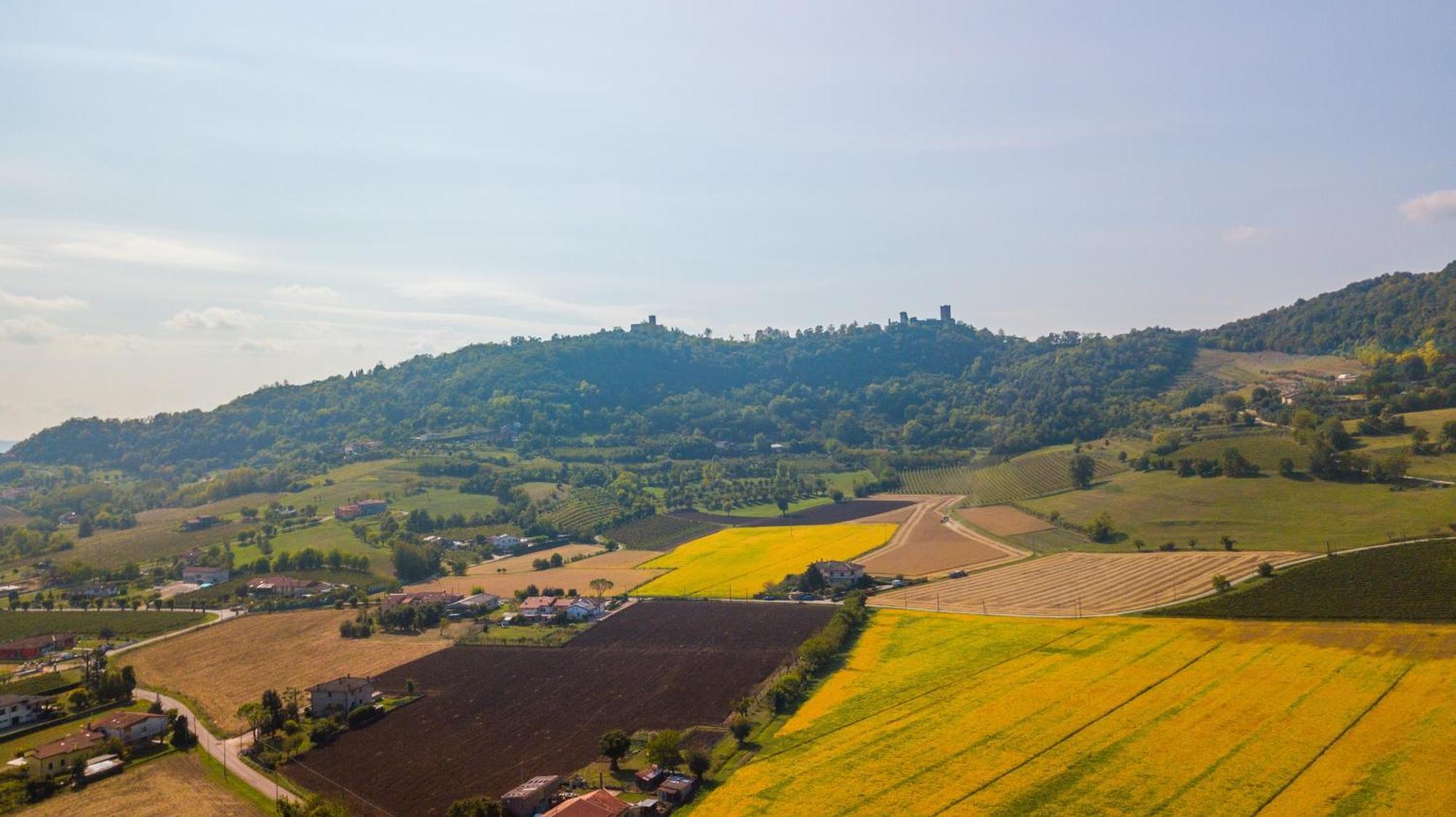 Agriturismo Riva Ratta Montecchio Maggiore Εξωτερικό φωτογραφία